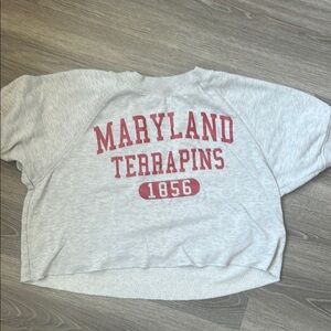 Gray Maryland Terrapins Sweatshirt